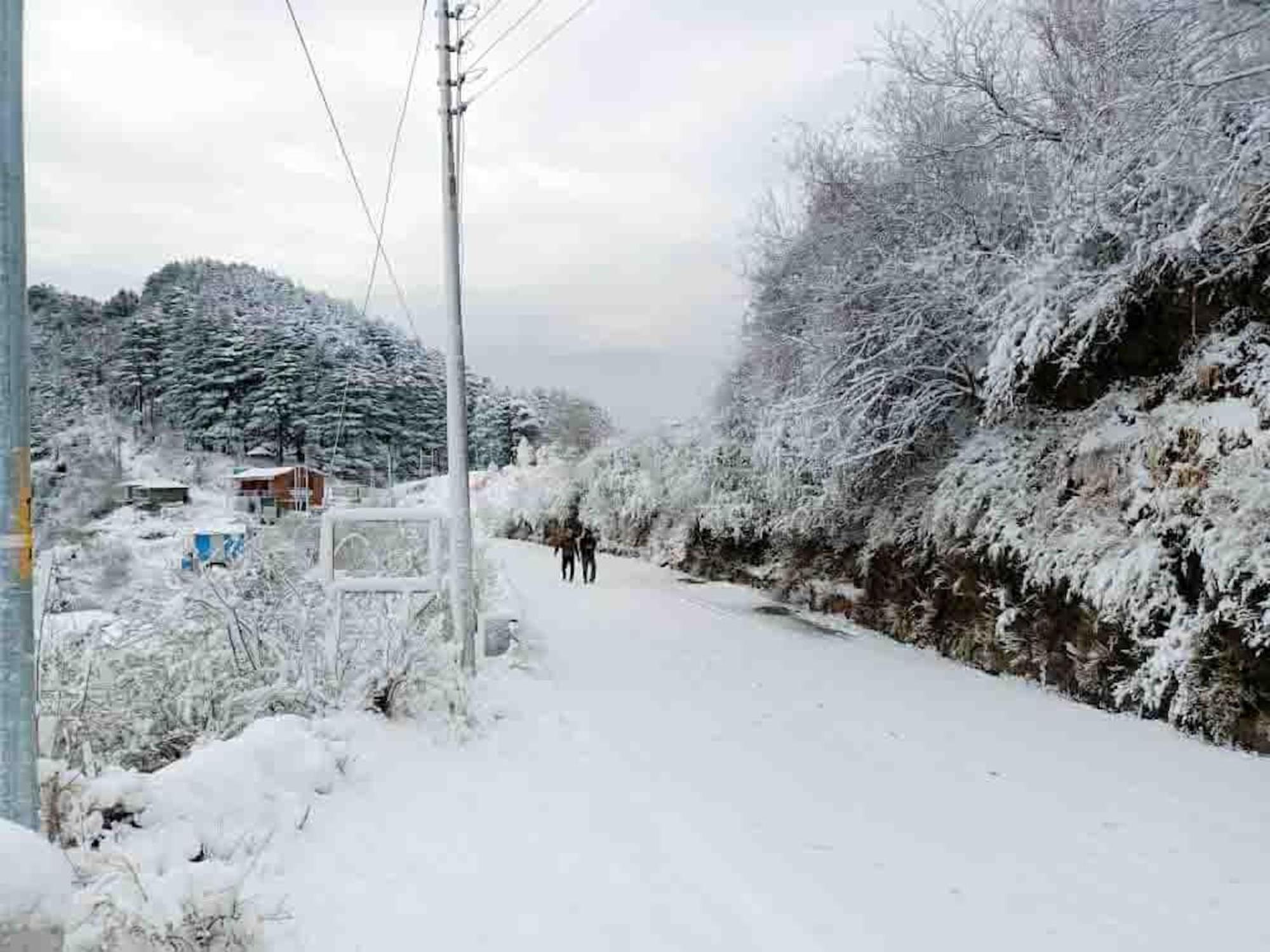 La Riqueza Kanatal #Mountain View Rooms # Near To Kodia Forest Jungle Saafari # 05 Mins From Adventure Activities Luaran gambar