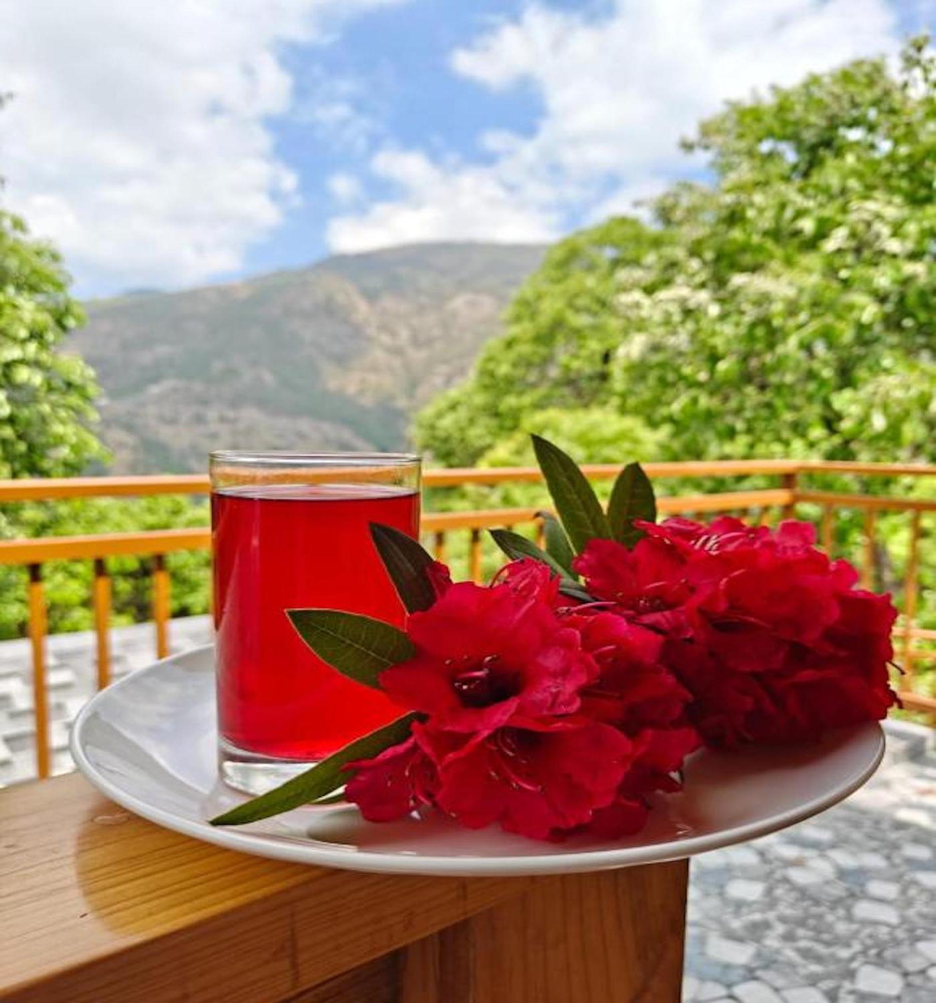 La Riqueza Kanatal #Mountain View Rooms # Near To Kodia Forest Jungle Saafari # 05 Mins From Adventure Activities Luaran gambar